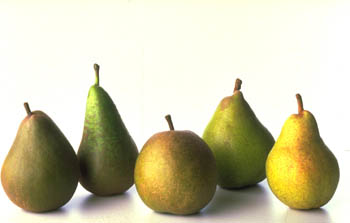 Palliform-Les fruitiers en forme